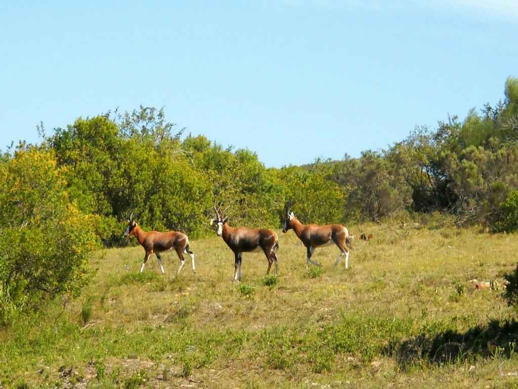 Pabala Private Nature Reserve