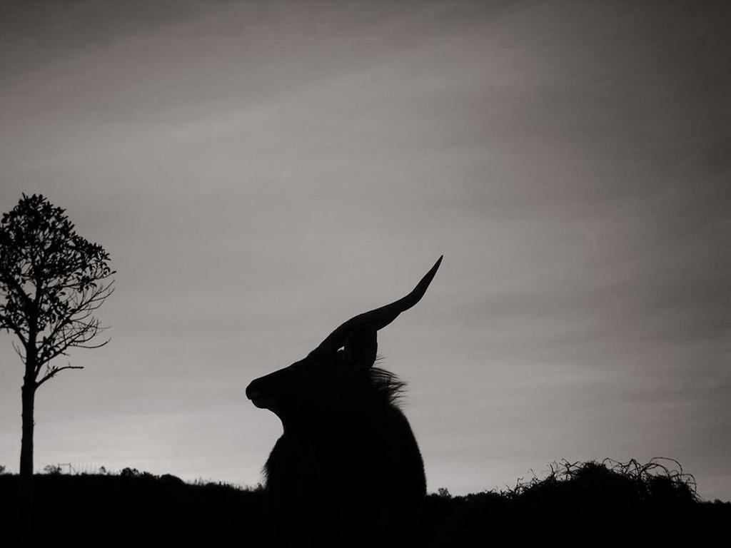 Pabala Private Nature Reserve *